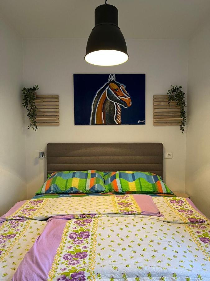 Apartment Sun&Sea, Senj, Prvi Red Do Mora Senj  Εξωτερικό φωτογραφία